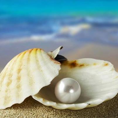 60035_10151151603195108_1351612619_n (1)