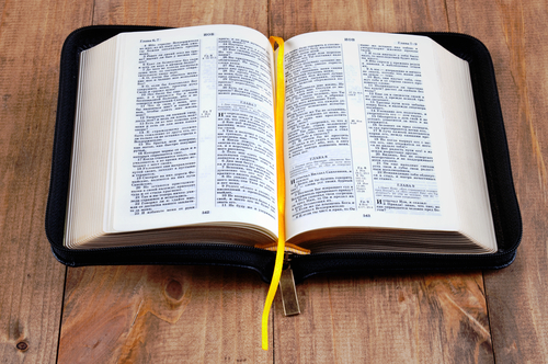 shutterstock_121043509