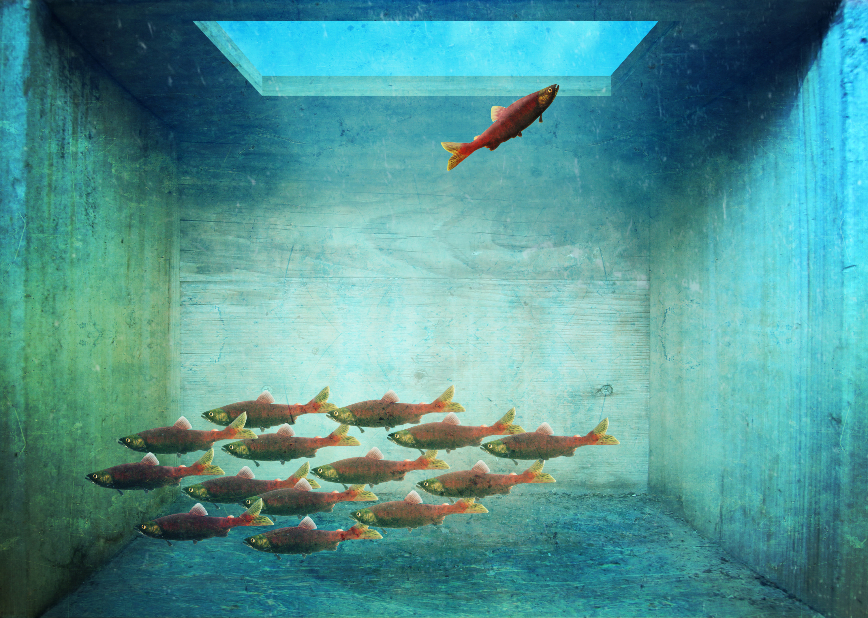 shutterstock_311404496