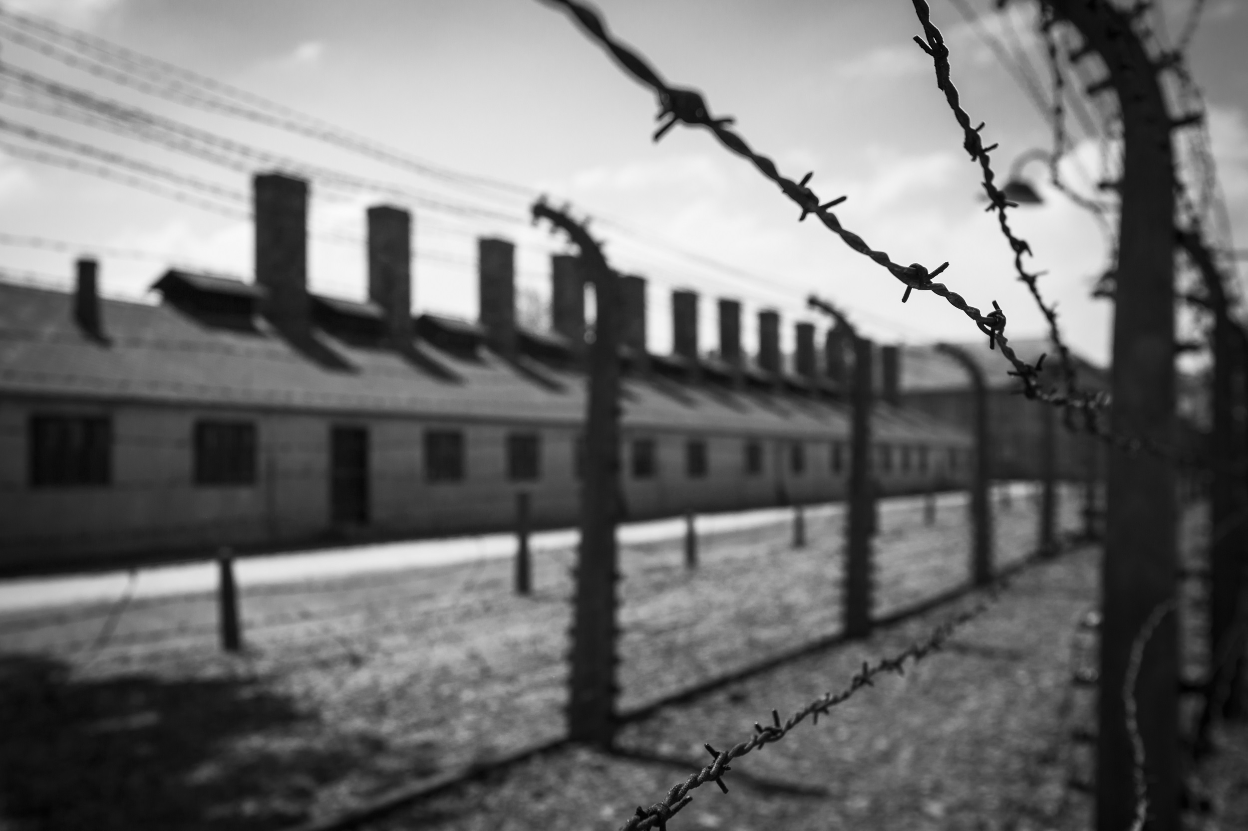 Imagem de capa - A Europa está esquecendo do Holocausto