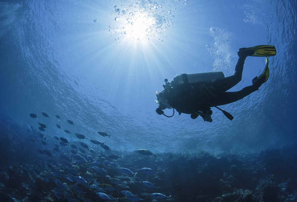 Imagem de capa - Você é um cristão mergulhador?