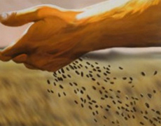 Imagem de capa - ДНК Духа Божьего