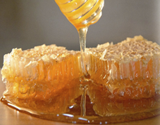 Imagem de capa - Соты меда