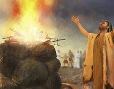 Imagem de capa - Место, избранное Богом