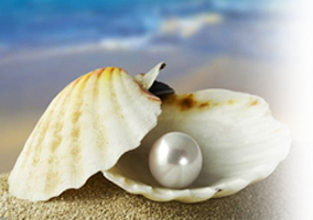 Imagem de capa - Scars… the pearls of life