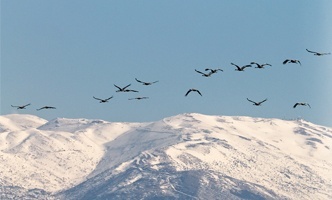 Imagem de capa - Why climb Mount Hermon