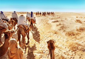 Imagem de capa - Where the manna falls...