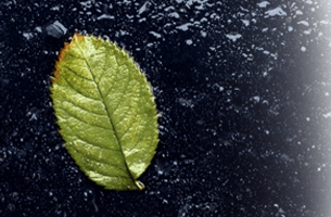 Imagem de capa - Analogy for life after death