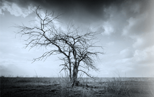 Imagem de capa - Without works it is dead