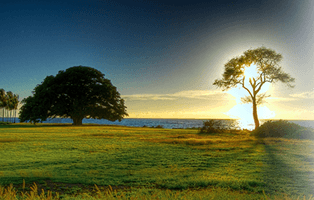 Imagem de capa - HOPE vs. hope