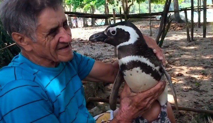 Imagem de capa - Is there love without sacrifice?