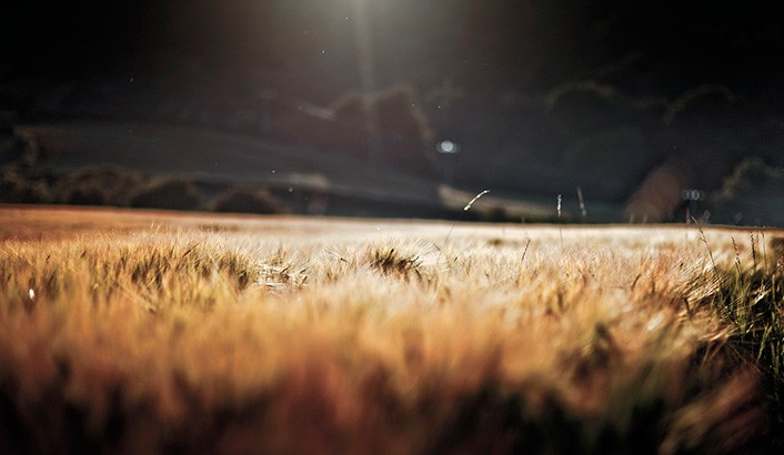 Imagem de capa - Cain’s Field