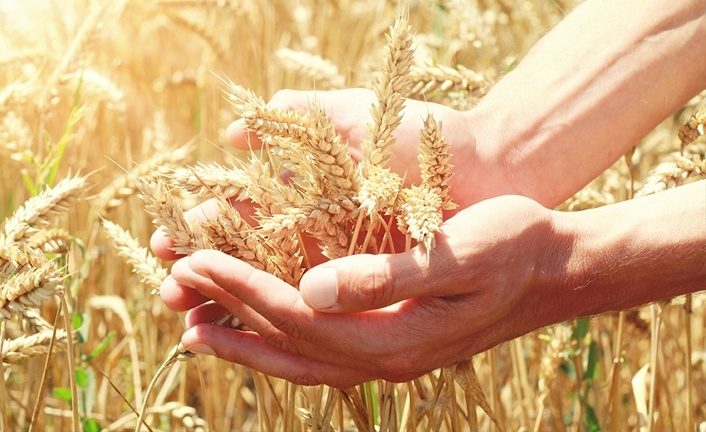 Imagem de capa - Life with abundance