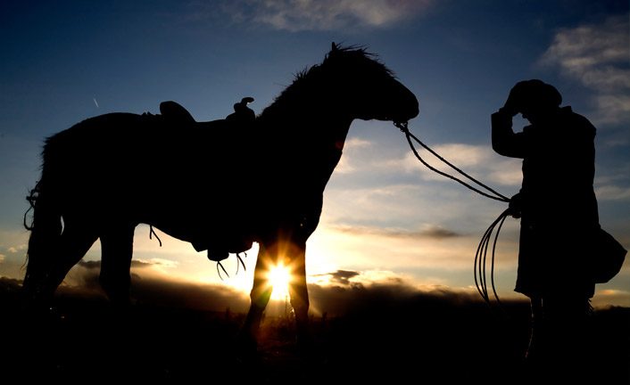 Imagem de capa - Pulling the horse