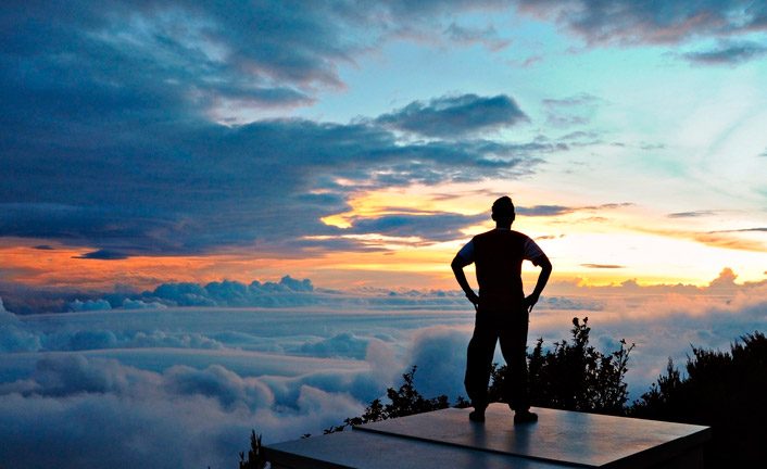 Imagem de capa - The Chosen for the Altar