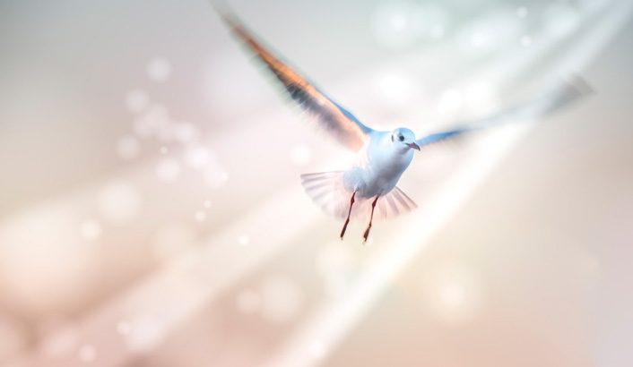 Imagem de capa - The Day of Pentecost