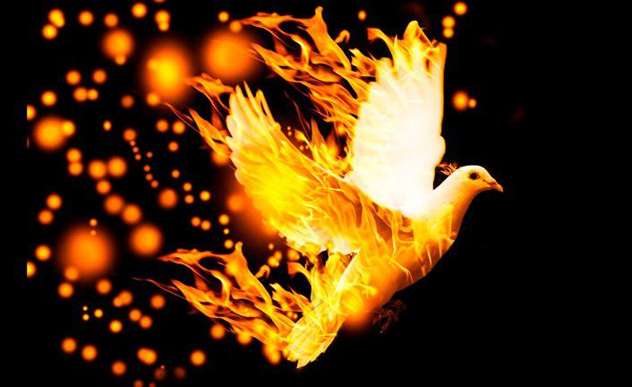 photo_2018-08-08_23-25-02