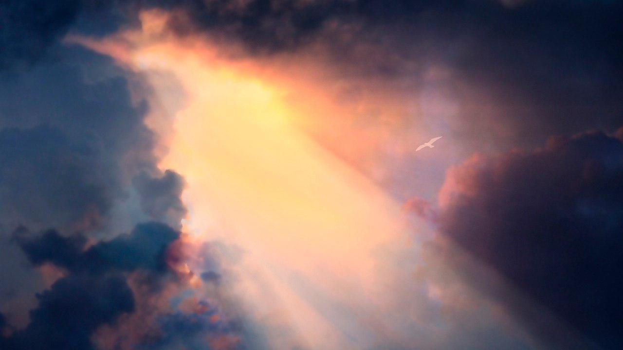 photo_2018-08-10_09-35-05