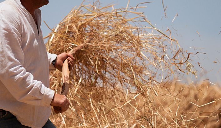 Imagem de capa - The Threshing Floor of Decision