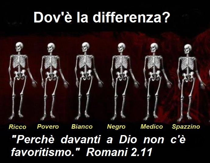 Dov La Differenza Portal Universal