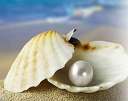 Imagem de capa - Perle della vita… Cicatrici