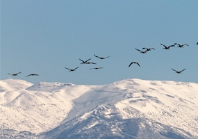 Imagem de capa - Perché salire al Monte Hermon?