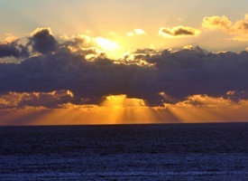 Imagem de capa - Il Segreto della Vita