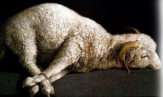 sacrificio2 – Copia