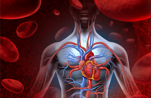 organismo2 – Copia