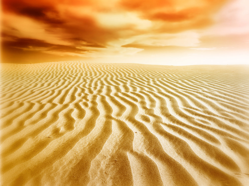 shutterstock_81949003