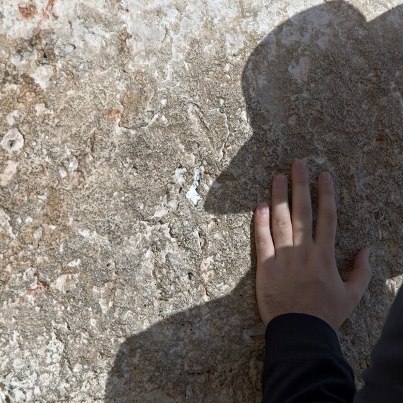 539262_10151238203435108_1417149772_n