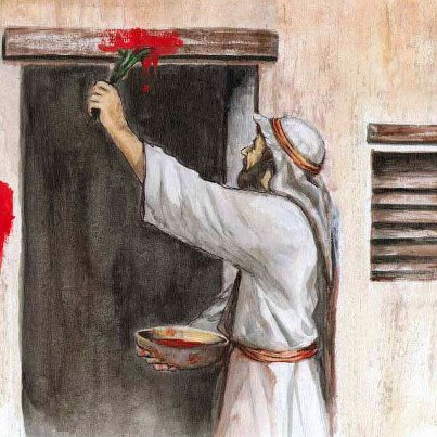 230522_10151223464655108_271920200_n (1)