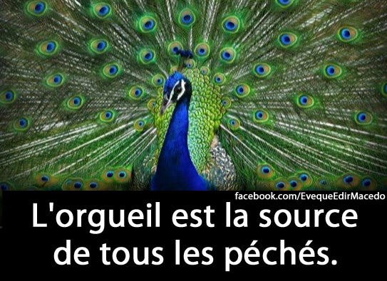 Imagem de capa - Deux guérisons pour l'orgueil