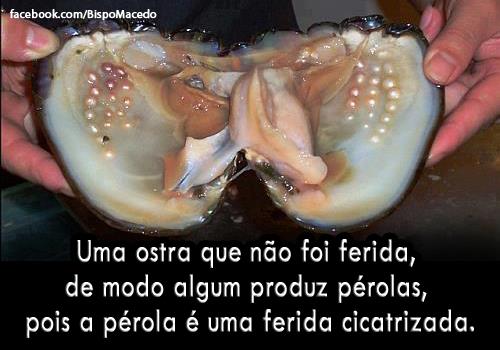 734035_10151354417985108_1936637055_n