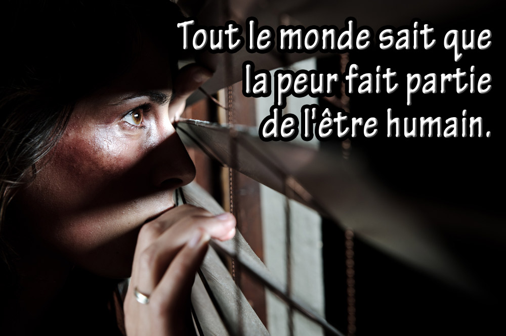 Imagem de capa - Le secret de l’absence des peurs