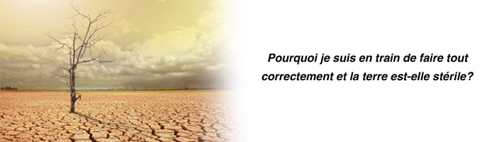 Imagem de capa - Tromper Dieu