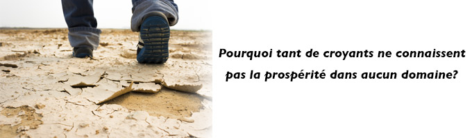 Imagem de capa - Les lieux arides sont pour les rebelles…