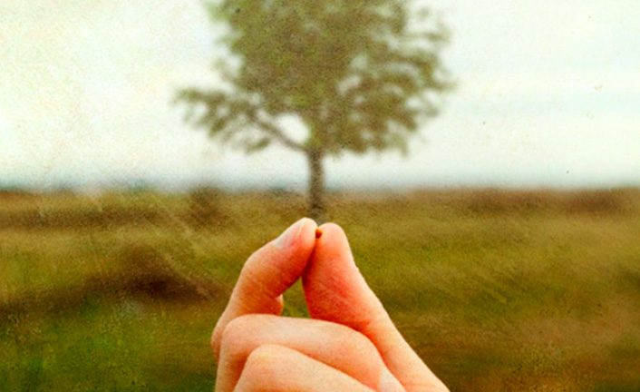 graomostarda-706×432