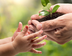 Imagem de capa - Компромисс