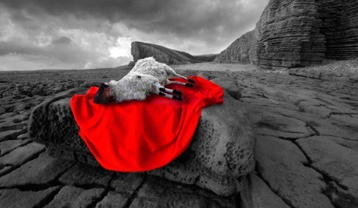 sacrificio_ovelha-706×410