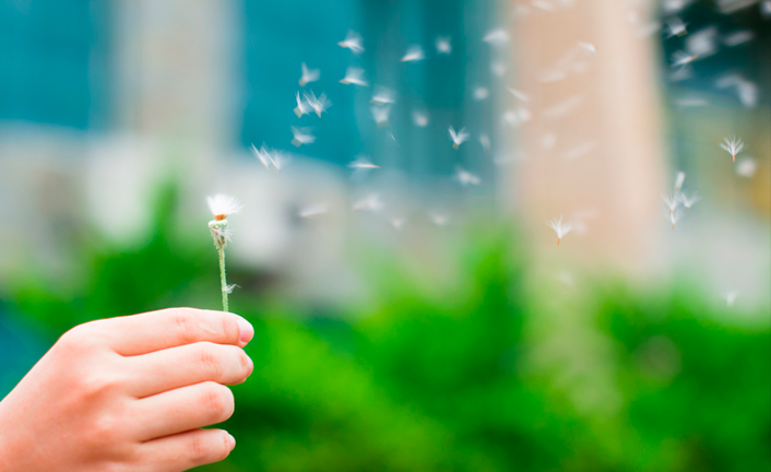 Imagem de capa - Vocation des Élus