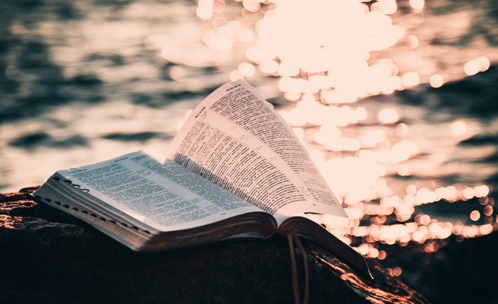 Imagem de capa - Ta Foi t’a Sauvé…