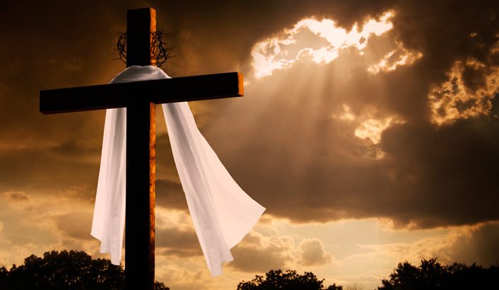 Imagem de capa - Libres de la condamnation