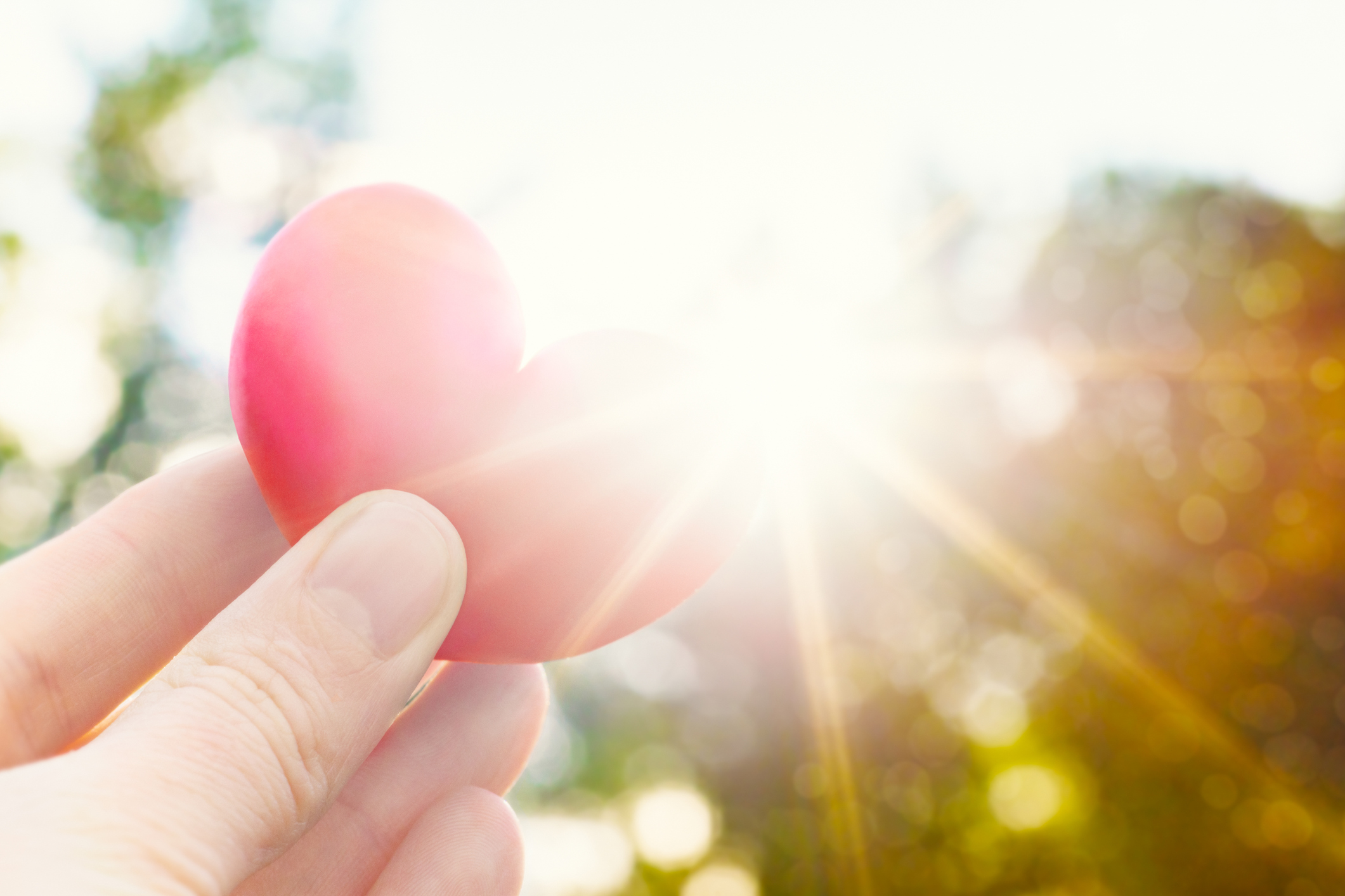 Unrecognisable person holding heart shaped plum against the sun. Love concept lifestyle image with sun flare. Valentine&#8217;s day background.