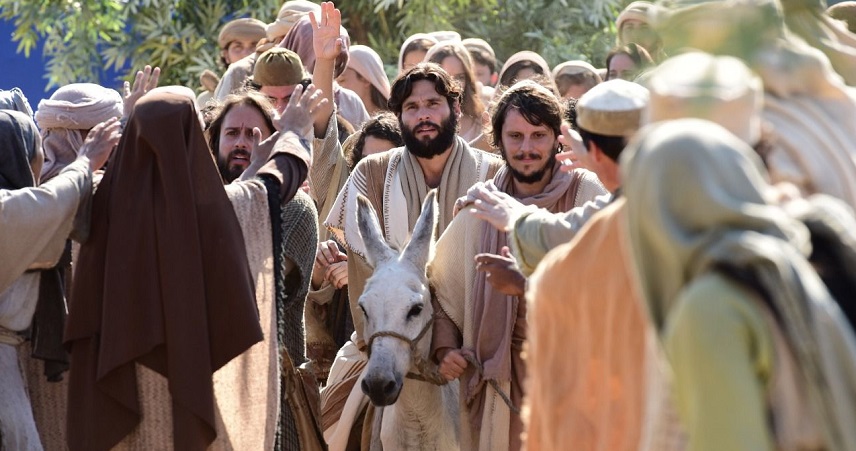 Imagem de capa - Jesus tem entrada triunfal em Jerusalém