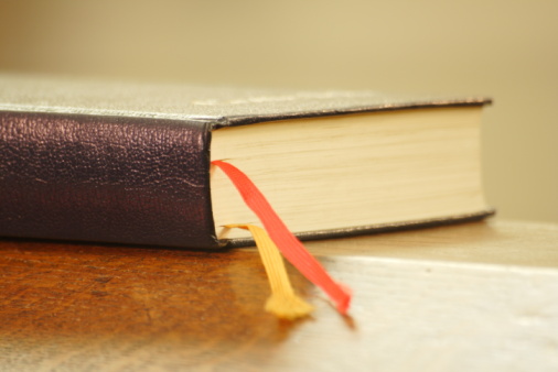 Imagem de capa - Humilhado para a glória