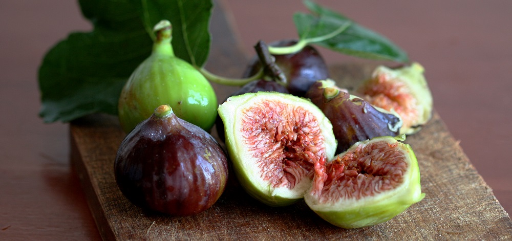 Imagem de capa - Observe os frutos da figueira