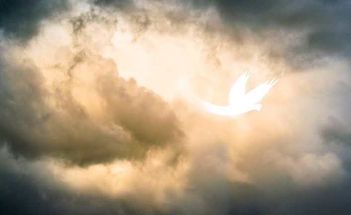 Imagem de capa - O Pentecostes