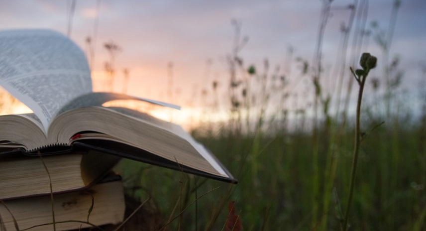 Opened hardback book with fanned pages on blurred nature background