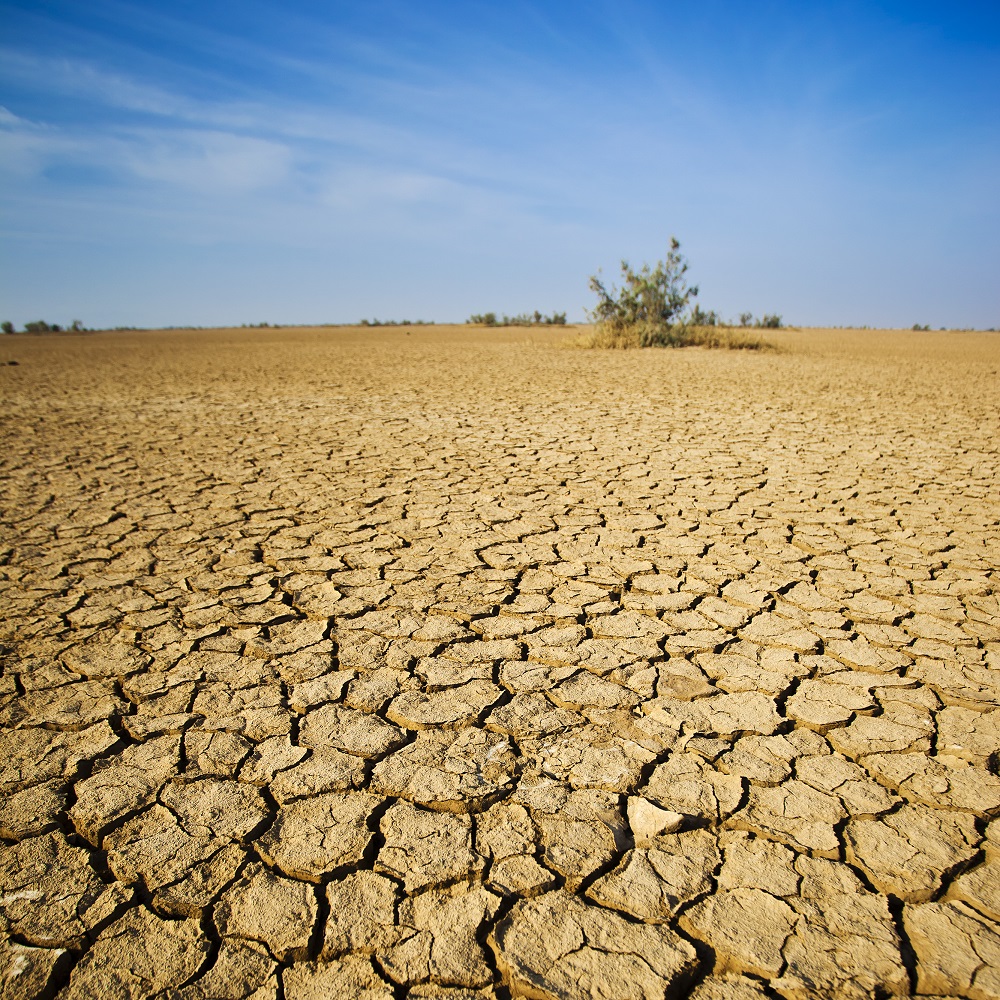Imagem de capa - Fim dos tempos: mortes na Índia por causa de forte onda de calor
